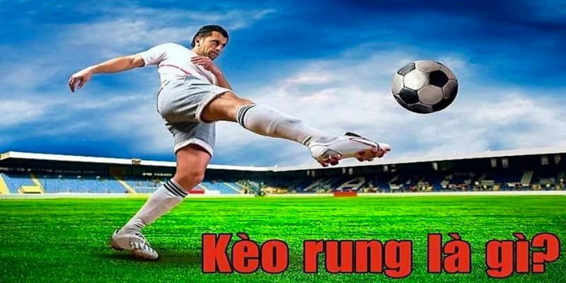 Tìm hiểu kèo rung là gì?